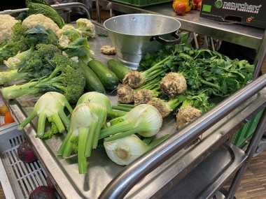 ernaehrungsrat_IMG_4484_d30adff0e6