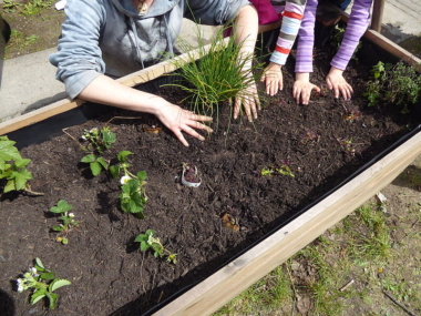 ernaehrungsrat_P1000157_9f12af2640