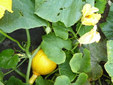 ernaehrungsrat_P1030993_9fb3c8972e