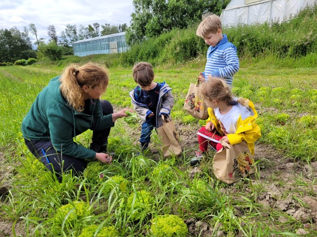 Kita-Kinder entdecken regional angebautes Gemüse