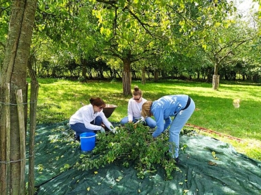 csm_Social_Day_8_6d0fff6bb9