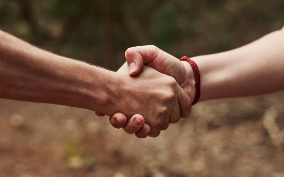 Grow & Go: Neue Kooperation mit der Heinrich-Heine Gesamtschule 